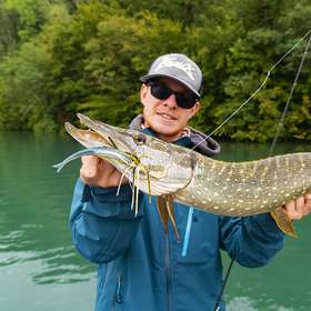 Petite leçon de chatterbait