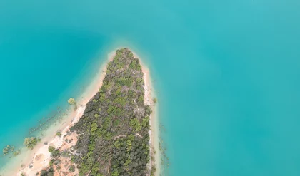 Pêche de la carpe en grand lac