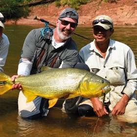 Dorado : le prédateur d'or