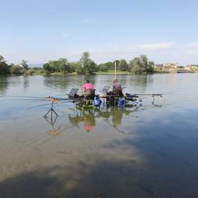 Immersion dans une compétition en américaine sur la Saône