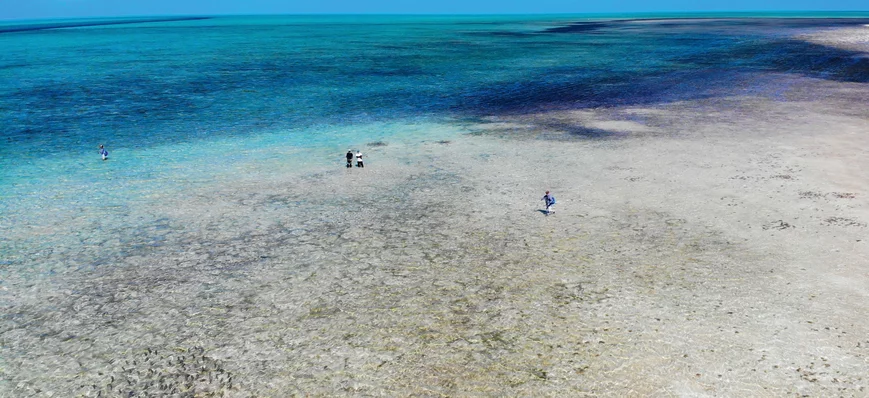 Aux Bahamas, Crooked Island : le paradis de la pêc