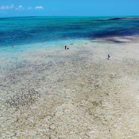 Aux Bahamas, Crooked Island : le paradis de la pêche du bonefish !