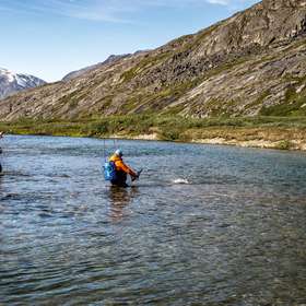 Pêche au Groenland : les ombles du bout du monde