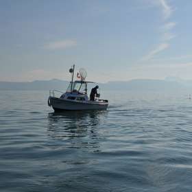 La pêche des salmonidés ouvre sa saison 2023 sur le lac Léman
