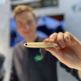 Le Biotop Stick, de Fiiish : et si c'était l'avenir ?