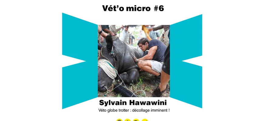 Épisode #06 - Sylvain Hawawini - Véto globe trotte