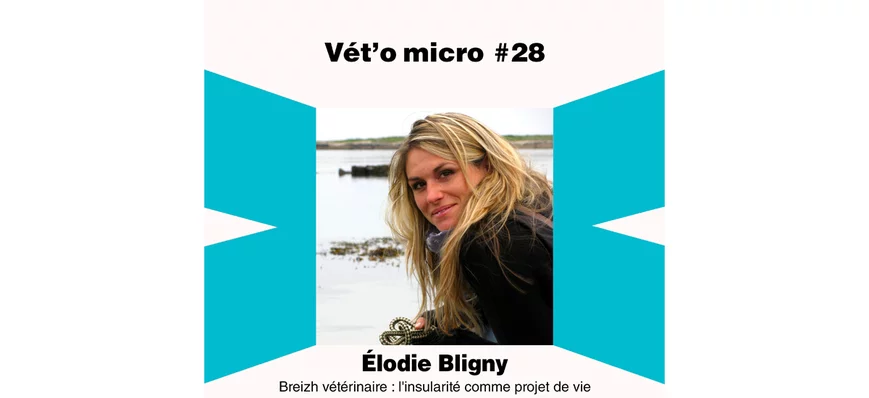 Épisode #28- Élodie Bligny- Breizh vétérinaire : l