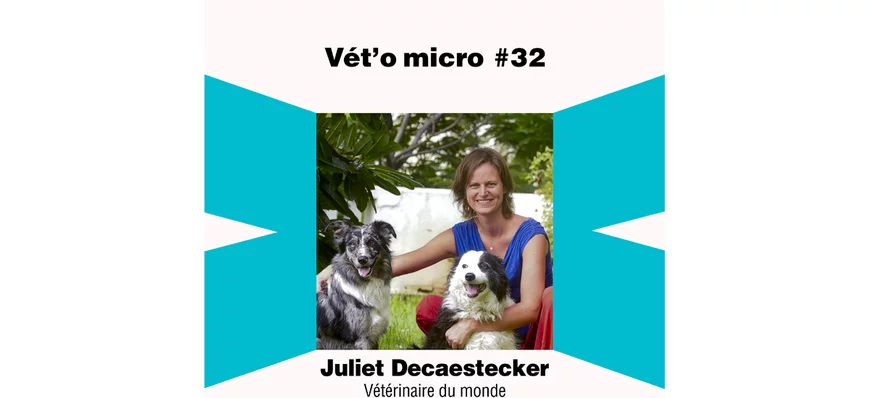 Épisode #32 - Juliet Decaestecker - Vétérinaire du