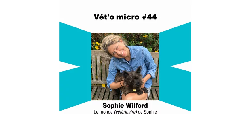 Épisode #44 - Sophie Wilford - Le monde (vétérinai
