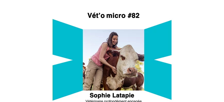 Épisode #82 - Sophie Latapie : Vétérinaire SCOPeus